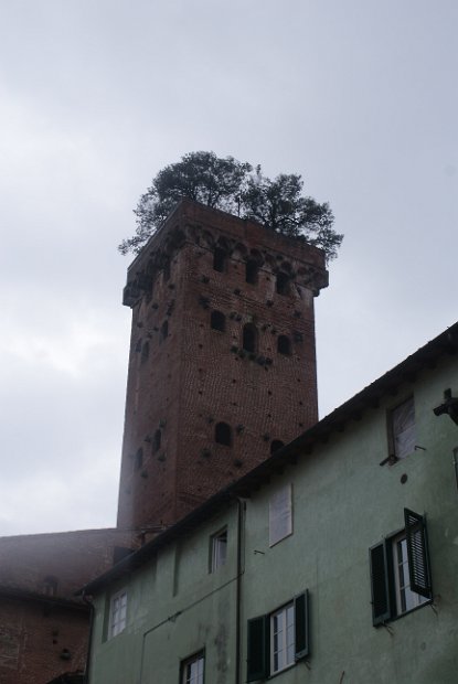 Chianti-2 2016 - 341
